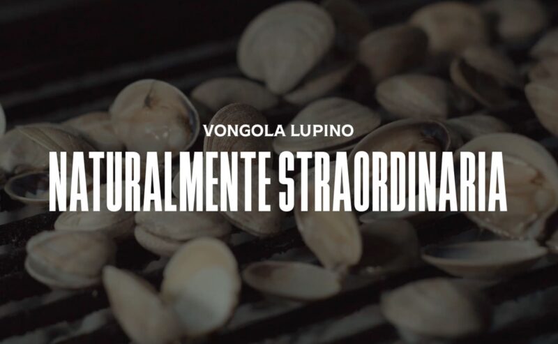 Vongola Lupino