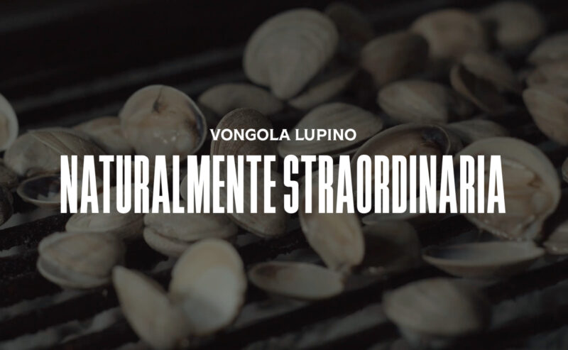 Vongola Lupino